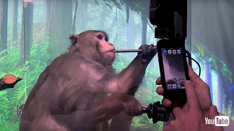 ペイジャーくん