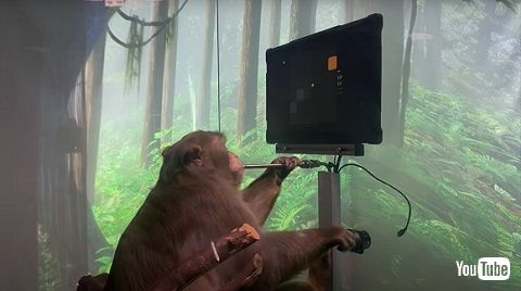 ペイジャーくん