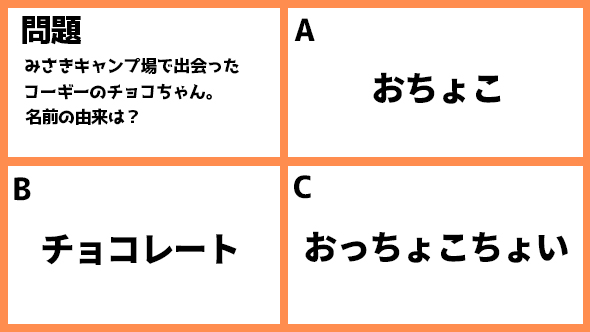 ゆるキャン△スペシャル ゆるキャン△ あｆろ 志摩リン 福原遥 各務原なでしこ 大原優乃 大垣千明 田辺桃子 犬山あおい 箭内夢菜 斉藤恵那 志田彩良