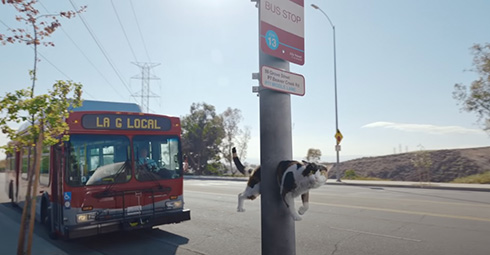 透明人間や壁のすり抜け　米ベライゾン社が公開した5GのPR動画がゲーマーあるある