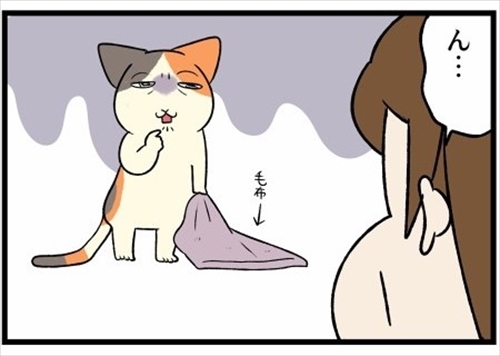 猫とコタツ