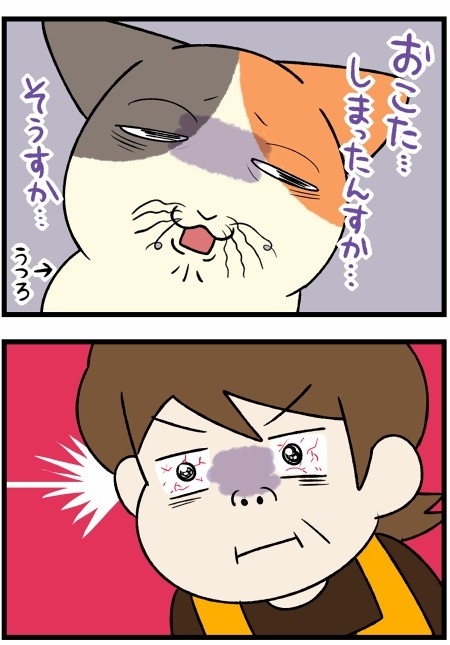 こたつ大好き猫ちゃん