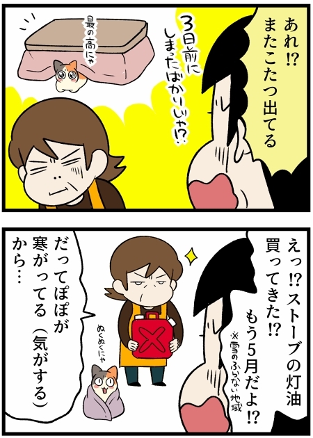 こたつ大好き猫ちゃん