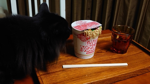 カップヌードル