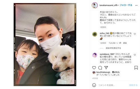 田中雅美 愛犬 マロン