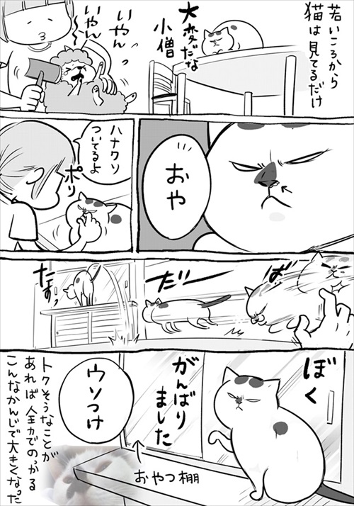犬と猫
