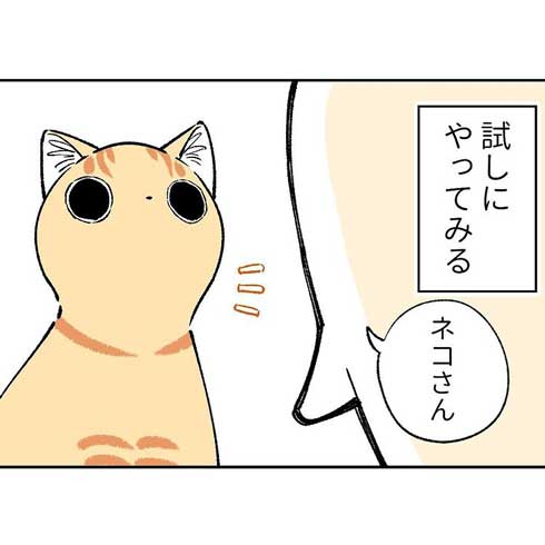猫 親愛 あいさつ ゆっくり まばたき スルー 見てくれない 漫画