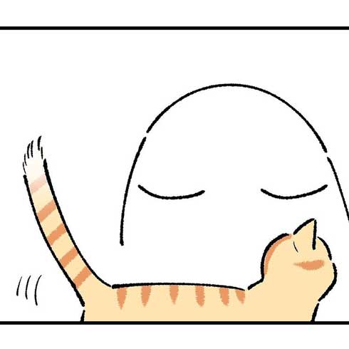 猫 親愛 あいさつ ゆっくり まばたき スルー 見てくれない 漫画