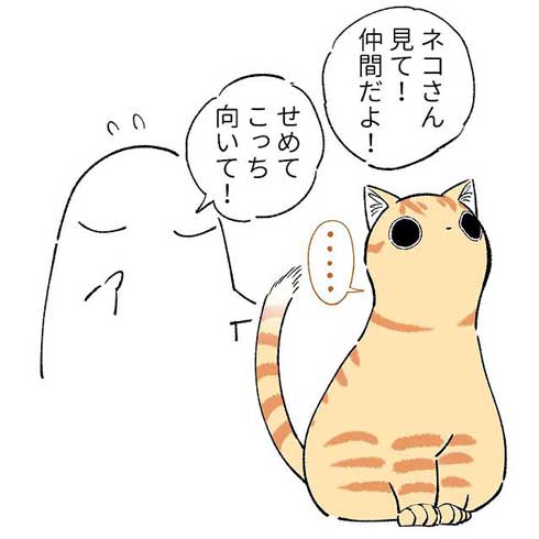 猫 親愛 あいさつ ゆっくり まばたき スルー 見てくれない 漫画