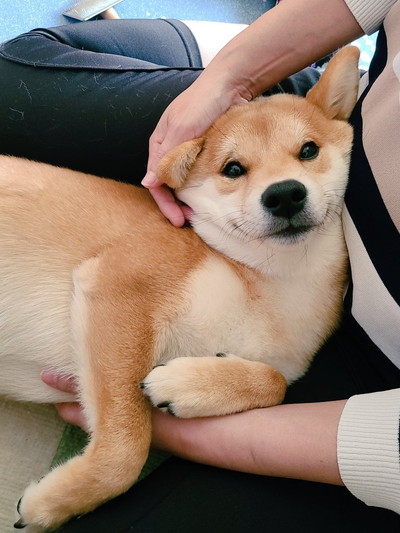 麦くんいろいろ