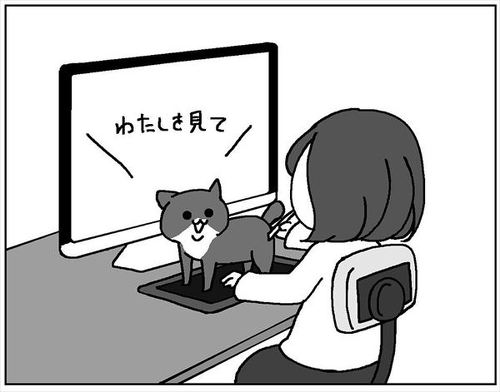 猫