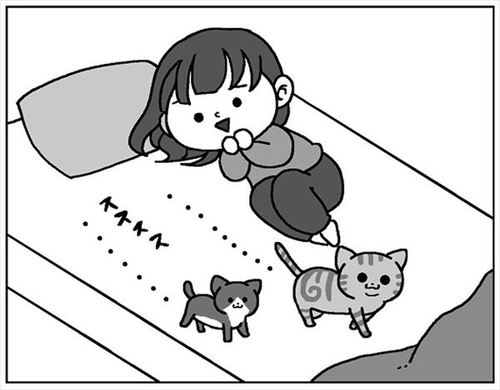 猫