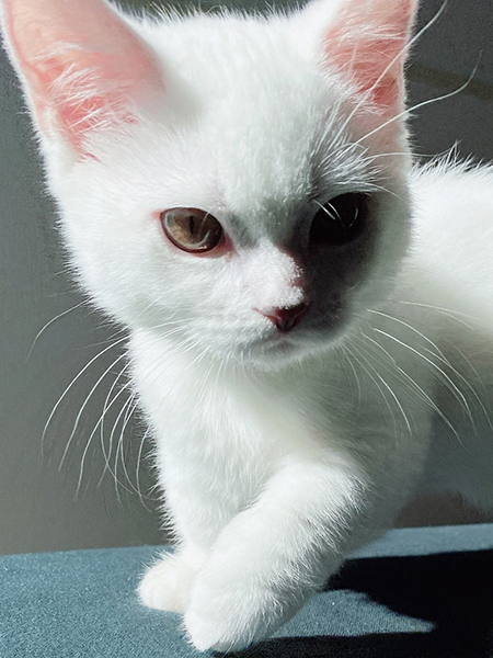 起こしにきたまおくんトリミング