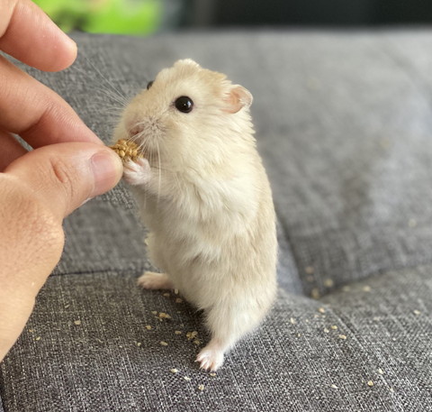 あるくんいろいろ