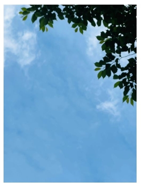 だいたひかる 乳癌 不妊治療 受精卵 現在