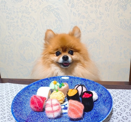 ペット手帳 ベストショット