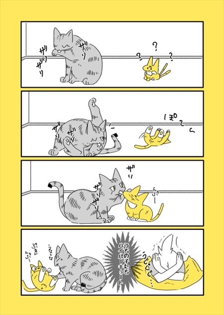 猫のことは把握済