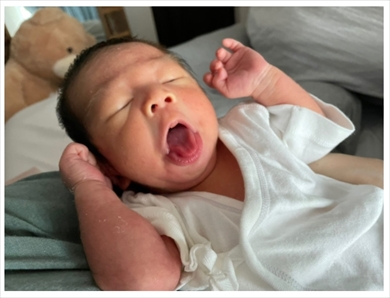 あいのり 桃 整形 息子 二重 ブログ