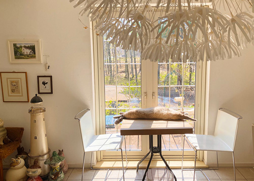 ダイナミックボンボンさん