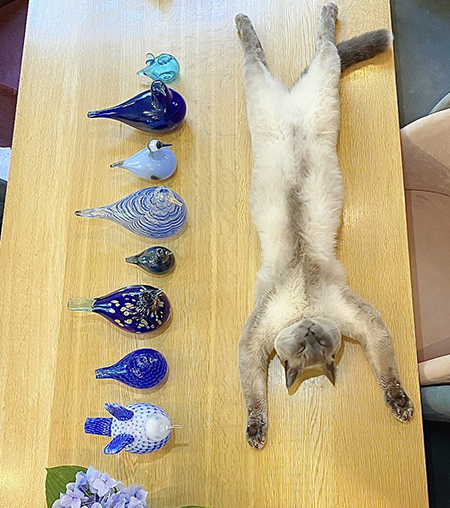 青いガラスとダイナミックボンボンさん