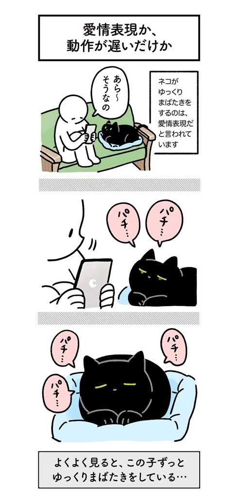 夜中 布団 入れてほしい 黒猫 ろん 漫画 AKR