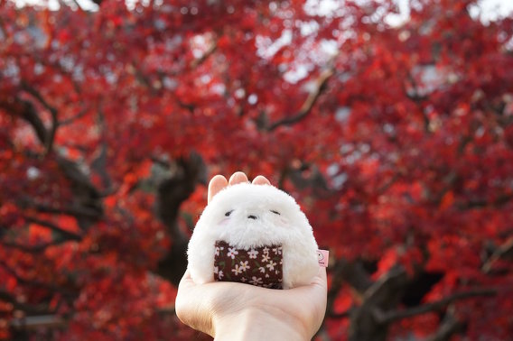 モチパンさん ぬい