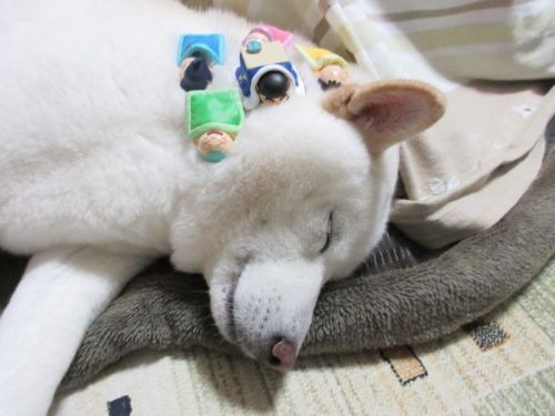 おすすめ