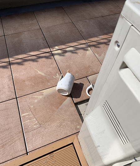 マグカップの残骸