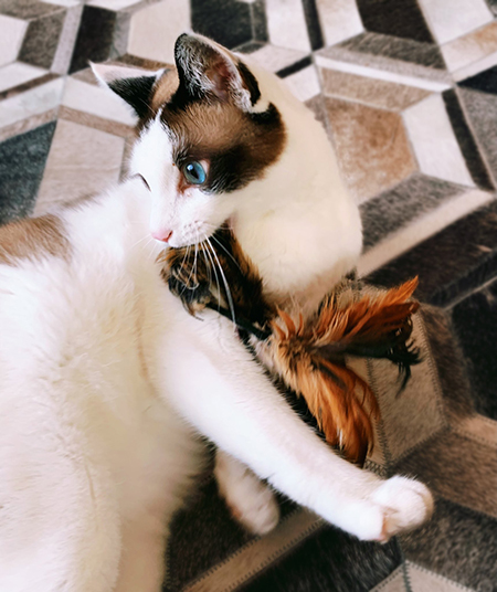 獲物を捕らえた白州さん