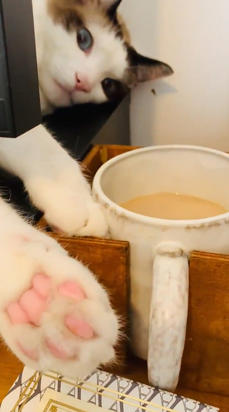 ばれてしまった白州さん