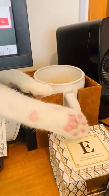 マグカップを狙う白州さん