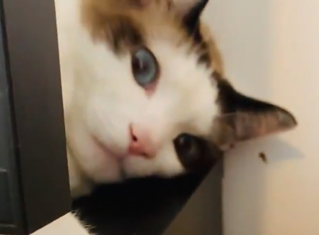 ばれてしまった白州さんアップ