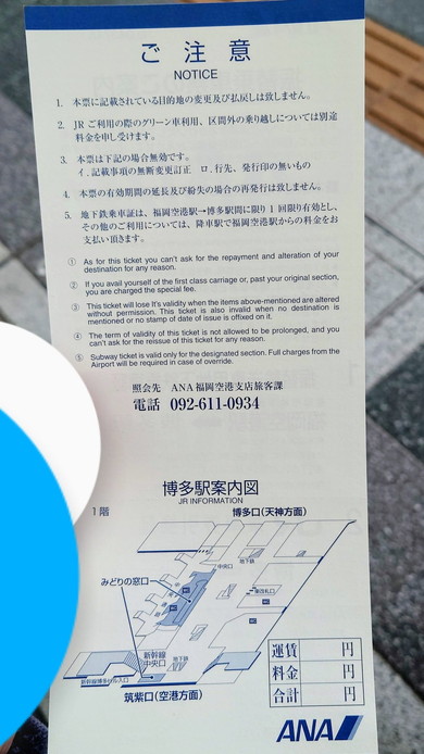 飛行機 振替乗車票