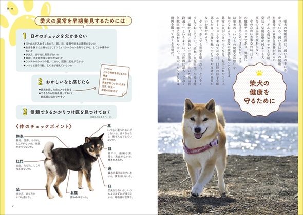 家庭犬の医学
