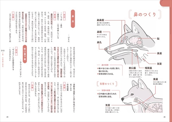 家庭犬の医学