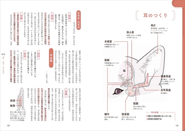 家庭犬の医学