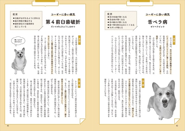 家庭犬の医学