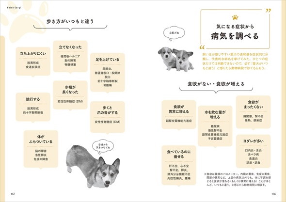家庭犬の医学