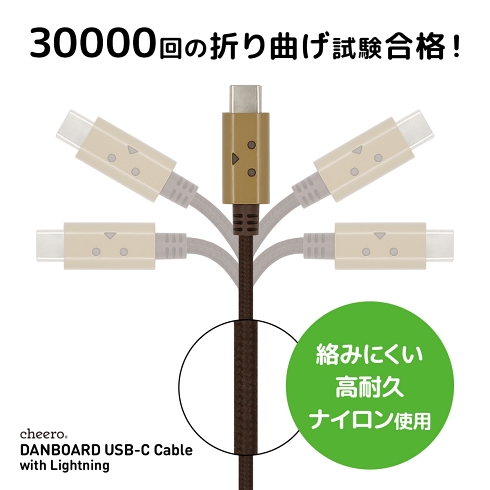 USB-C ライトニングケーブル ダンボー