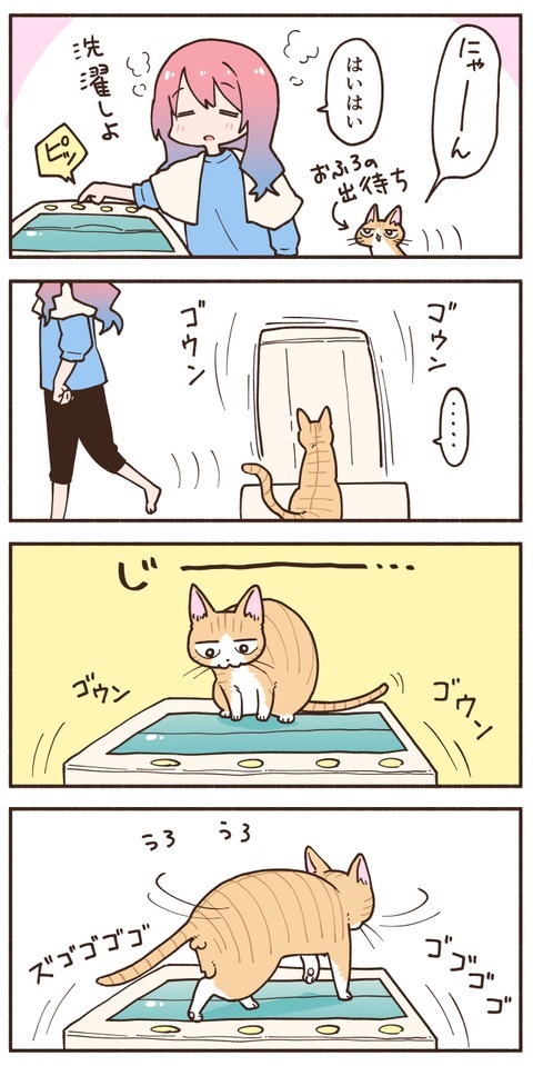 洗濯機の中が気になる猫