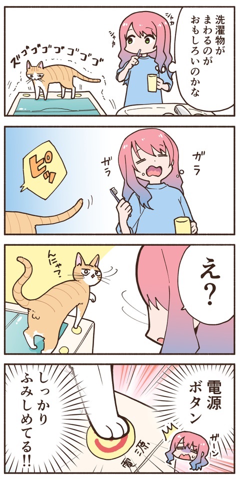 洗濯機の中が気になる猫