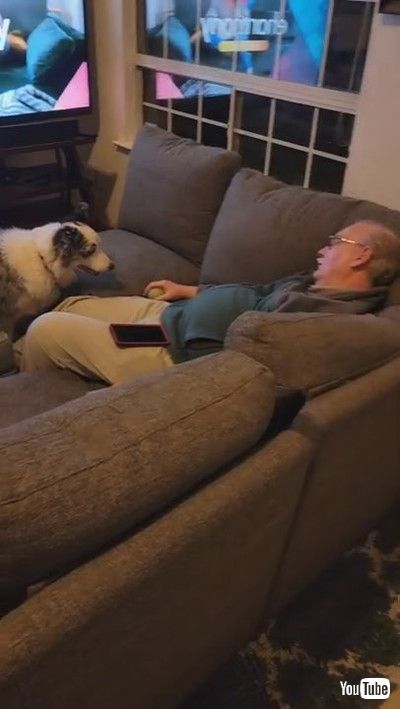 「Pug Teaches Kiddo How to Crawl || ViralHog」