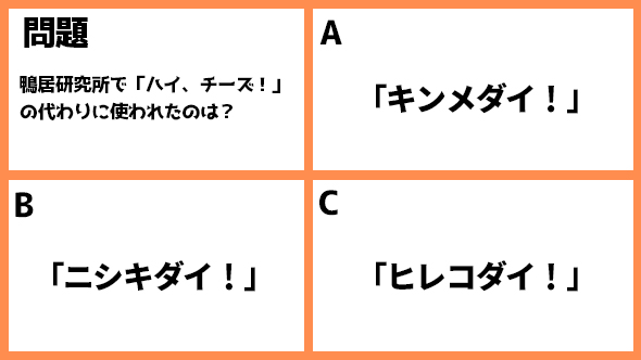 石原さとみ 綾野剛 恋はDeepに あらすじ ネタバレ
