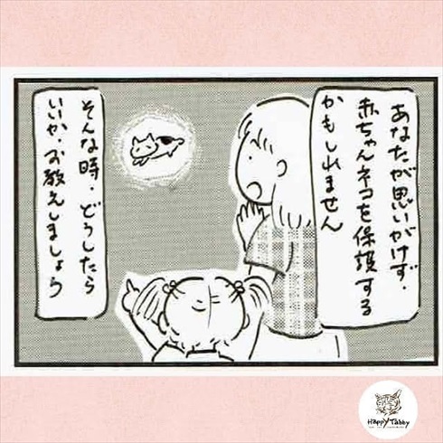 赤ちゃん猫を保護したら