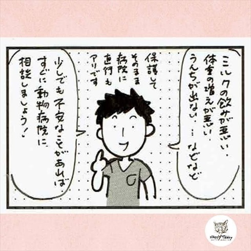 赤ちゃん猫を保護したら