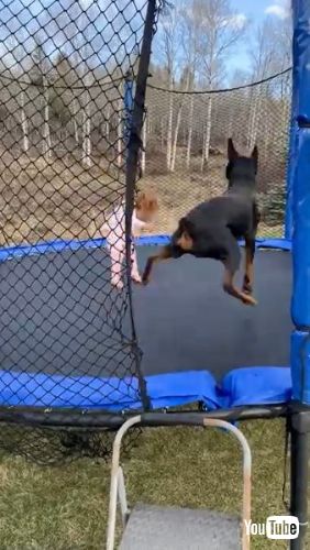 Enjoy Trampoline Time