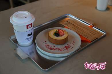 小田急 ロマンスカー