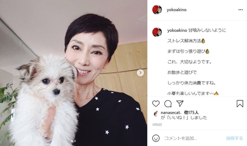 秋野暢子 小夏 マルプー レイチェル 犬 現在