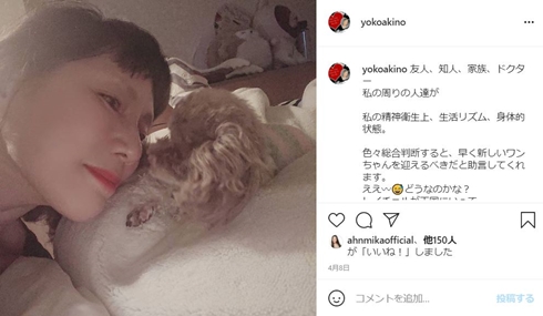 秋野暢子 小夏 マルプー レイチェル 犬 現在