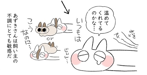 あずきさん